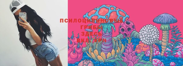 круглые Инсар
