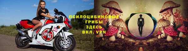 круглые Инсар